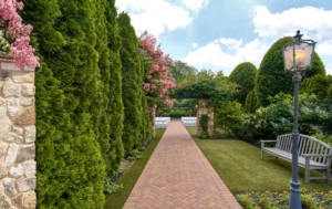 Wedding Venue for Brooklyn Couples